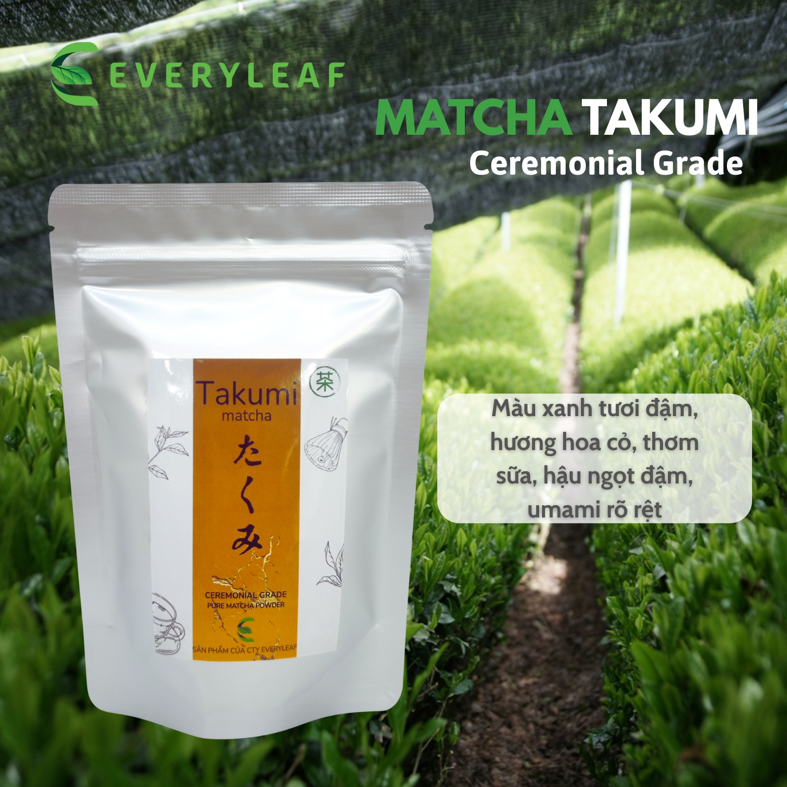 Matcha Takumi tui